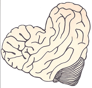 Peach-colored sketch of a brain in the shape of a heart by Lauren Newey