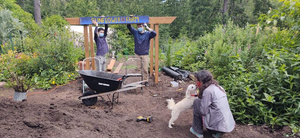 Two teenage boys raise up a blue, hand-painted sign with gold lettering to hang it onto an archway. The sign reads, "Sunflower Farm." Nearby, a woman kneels down and gets kisses from a tiny white dog. They all wear COVID masks. Behind them, a lush food forest grows.