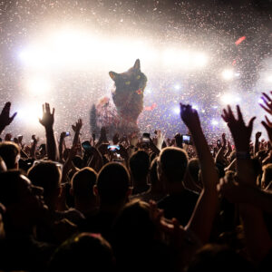 RouRou the PODCat is thrilled to make the announcement official. The photo shows a close view of a crowd of thousands of people in front of a stadium stage. Many have their hands raised high or film the show on cellphones. Multi-colored confetti fills the dark space, falling from high up, and bright stage lights blast in an arch around the main act who is up there being a total badass. At centerstage, a King Kong-sized giant PODCat welcomes up Cheryl and Thomas. He’s a longhaired black and seal cat sitting in profile, with his head turned to face his adoring crowd. His mouth is open, fangs gleaming, as he belts “POD Access” in his most metal voice.